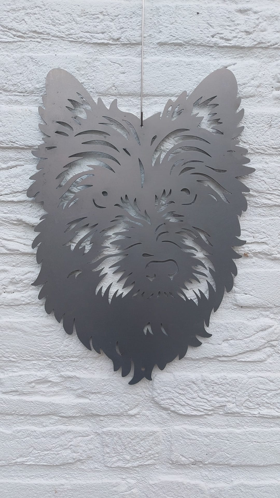 Cairn Terrier
