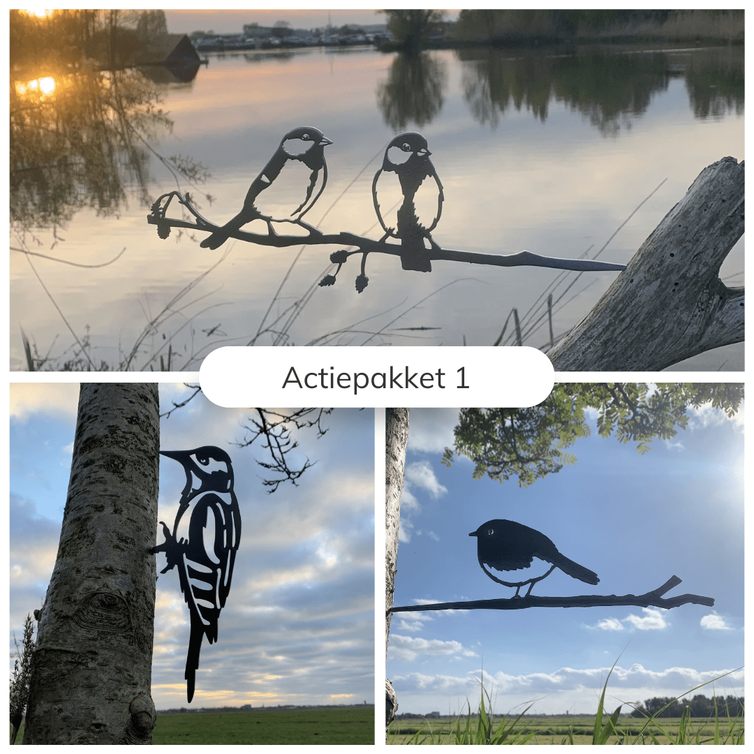 Actiepakket 1 - Metalen vogels