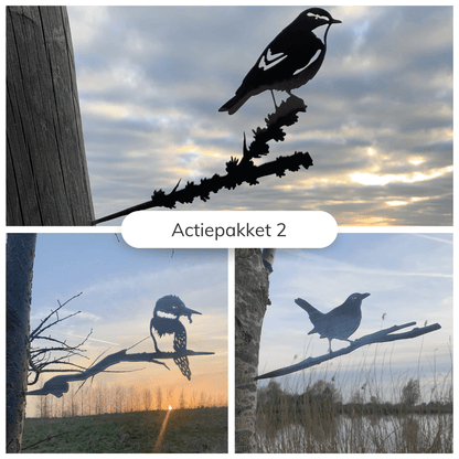 Actiepakket 2 - Metalen vogels