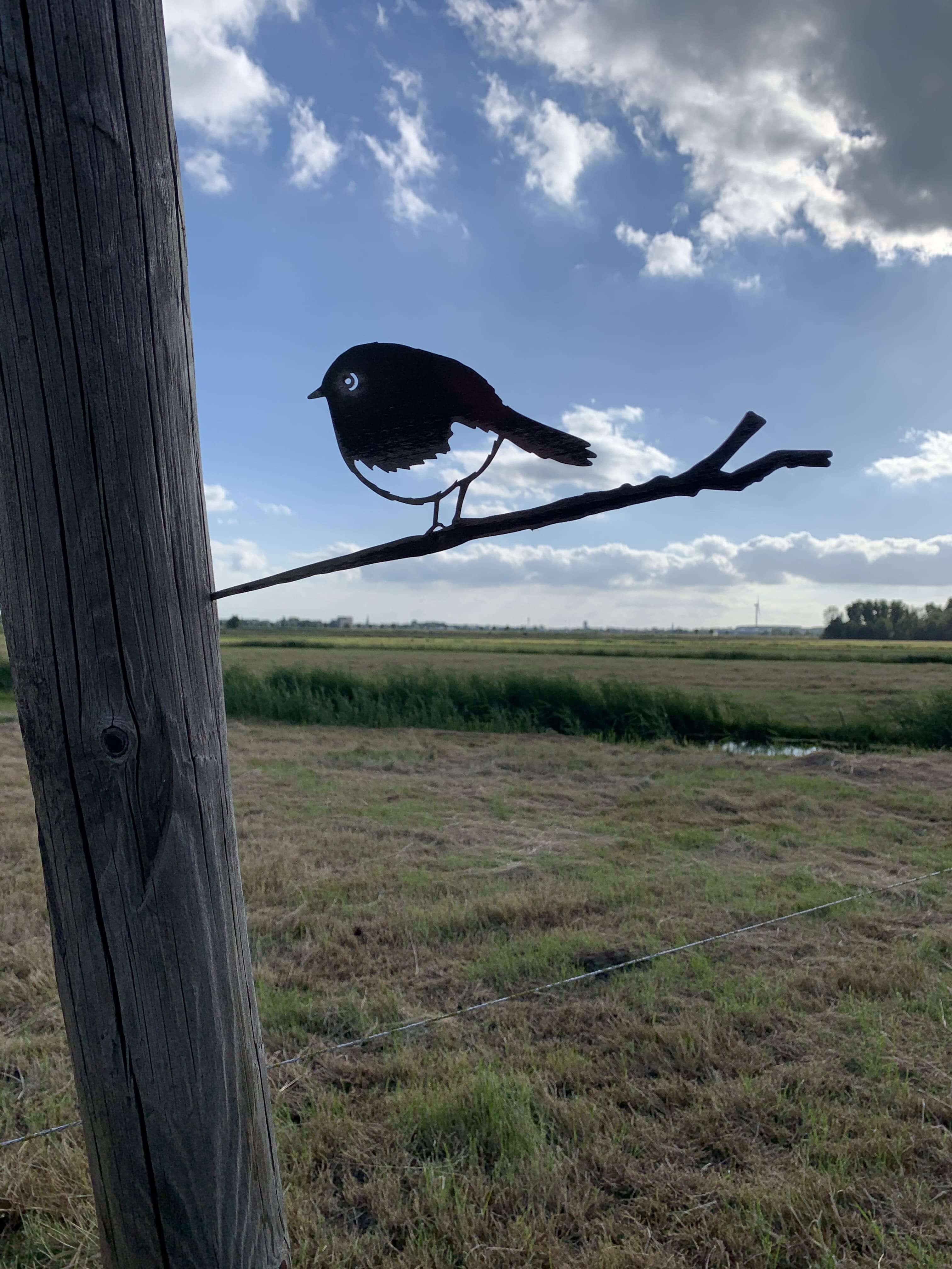 metalbird roodborstje