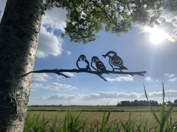 The sparrows